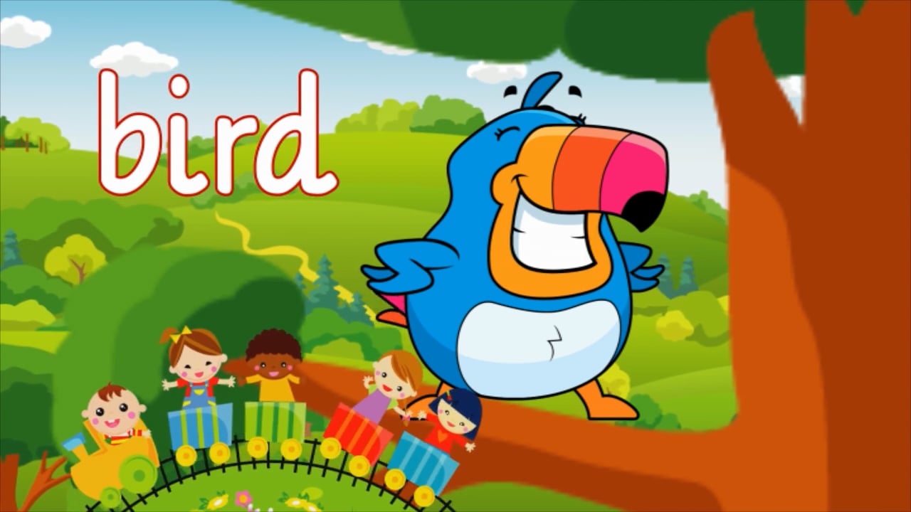 Birdwatching with Timmy Toucan episode thumbnail